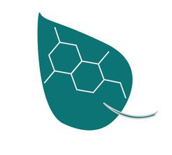 Icon Department 4