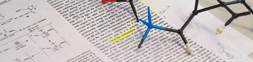 Ausgewählte Publikationen 2013 - 2025 Ausschnitt eines Artikels