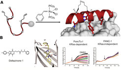 Figure 3: Modulation of Rab/Ras signalling. A Direct Targeting of Rab-GTPase-Effector Interactions. B Identification of pyrazolopyridazinones as PDEδ inhibitors.