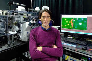 Stefano Maffini, Project Group Leader in the department of Mechanistic Cell Biology