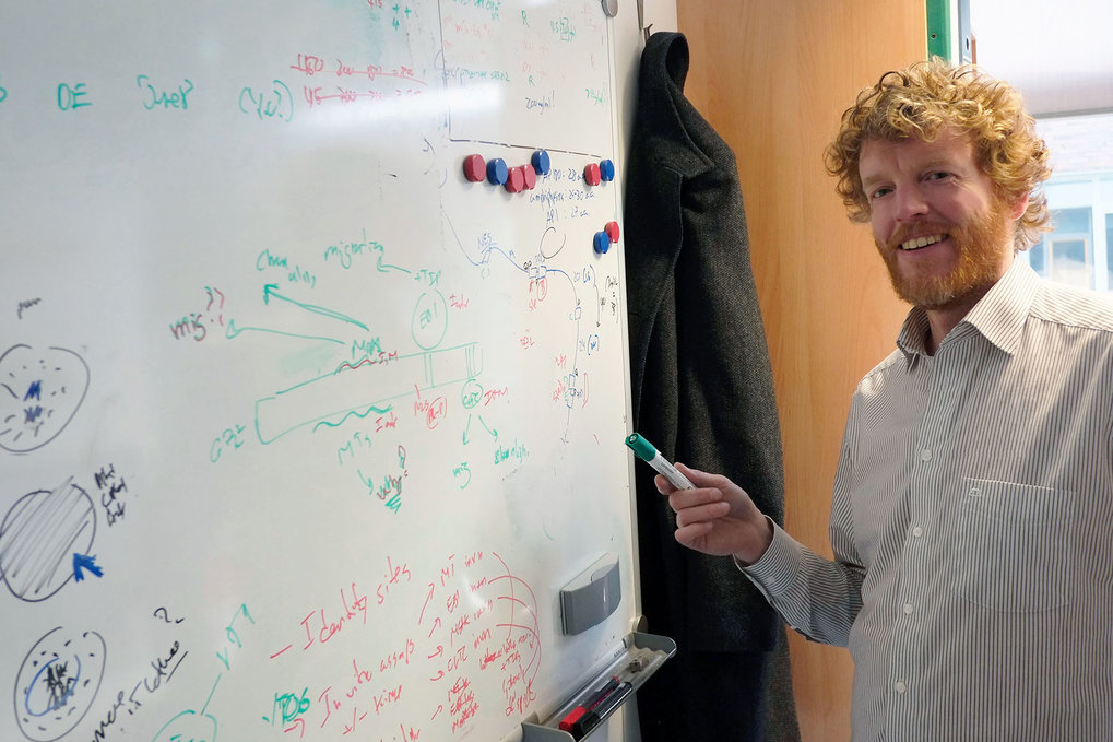 DFG Grant awarded to Alex Bird