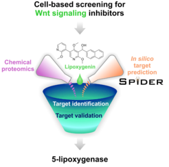 Separating the wheat from the chaff in target identification for bioactive molecules