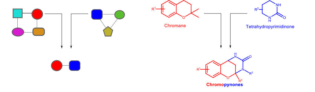 Nature 2.0 – Inspiring new drug discovery by pseudo natural products
