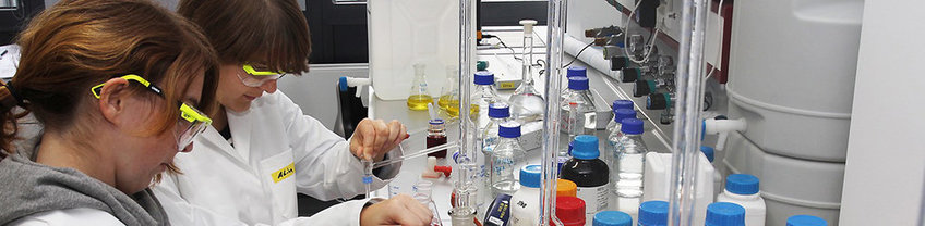 2 people working in the lab