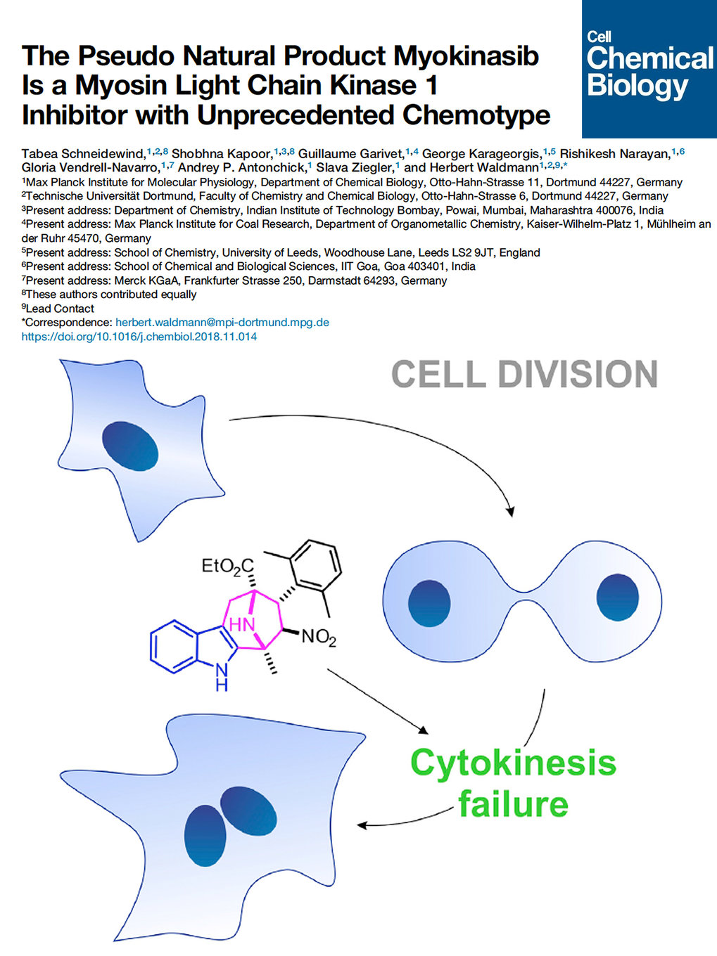 The Pseudo Natural Product Myokinasib Is a Myosin Light Chain Kinase 1 Inhibitor with Unprecedented Chemotype