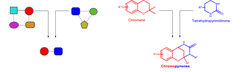 Design of chromopynone pseudo NPs.