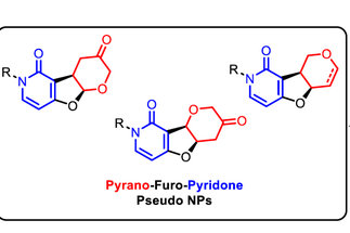 <span>Design, Synthesis and Phenotypic Profiling of Pyrano-Furo-Pyridone Pseudo Natural Products</span>