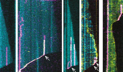 Trimeric Ndc80D80 modules (magenta) on dynamic microtubules (cyan) in the presence of increasing concentrations of phosphorylated (top row) or dephophosphorylated (bottom row) Ska (yellow). Scale bars: vertical (60 s), horizontal (5 mm). Arrows indicate successful end-tracking events.