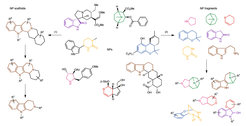 BIOS and pseudo-NPs are both based on NP structures. Scaffold synthesis and decoration following the principle of BIOS leads to NP-inspired compounds (1). Design of pseudo-NP collections by de novo combinationof NP fragments leads to NP-inspired compounds (2). Different colours highlight different NP fragments, or substructures depending on the strategy followed. β-GluO, β-glucosyl.