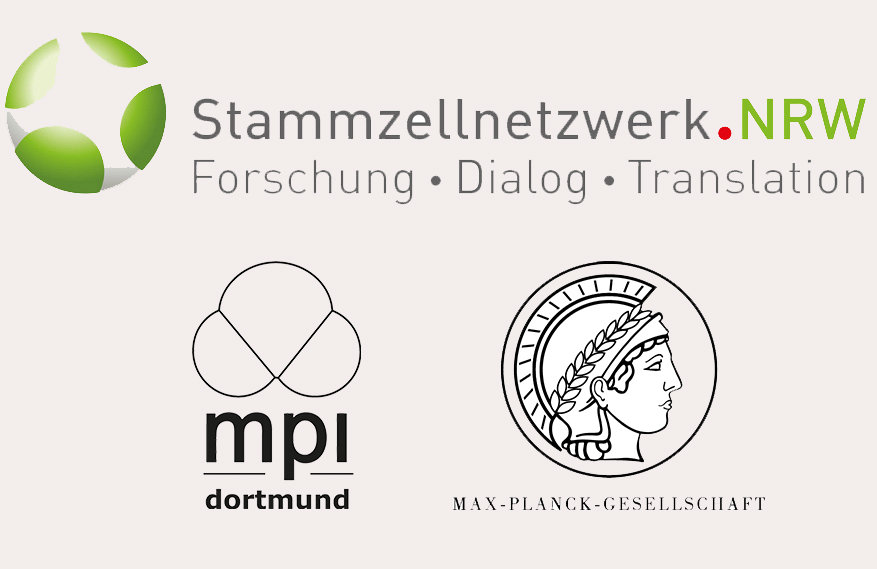 MPI Dortmund wird Teil des Stammzellnetzwerks.NRW