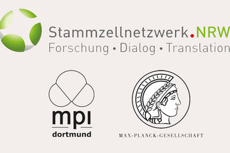 MPI Dortmund wird Teil des Stammzellnetzwerks.NRW