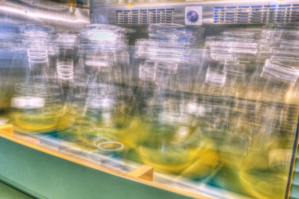 Shaker with moving cell cultures