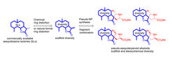 Combination of the conceptually complementary formal ring distortion- and pseudo-natural product strategies yields novel natural product-inspired bioactive pseudo-sesquiterpenoid alkaloids.