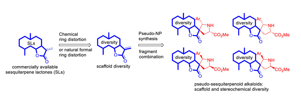 Combination of pseudo-natural product design and formal natural product ring distortion yields stereochemically and biologically diverse pseudo-sesquiterpenoid alkaloids