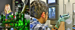 Left: Johann Funk at the fluorescence microscope. Right: Felipe Merino preparing samples for electron cryo-microscopy.