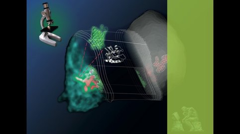 Können unsere Zellen denken und dürfen sie das? - <br />Menschen benutzen neuronale Netzwerke, um zu denken. Das heißt, dass sie ihre Umgebung kognitiv wahrnehmen und mit ihr interagieren, um ihre eigene Identität in einer konstant sich ändernden Welt instand zu halten. Dieser kognitive Prozess in unserem Gehirn nimmt wahr, was wir gelernt haben wahrzunehmen. Kognition wird als eine Fähigkeit von Menschen angesehen, aber ist sie auch eine fundamentale Eigenschaft aller lebenden Materie?