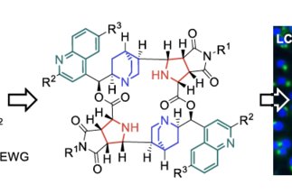 Synthesis of 20-Membered Macrocyclic Pseudo-Natural Products Yields Inducers of LC3 Lipidation