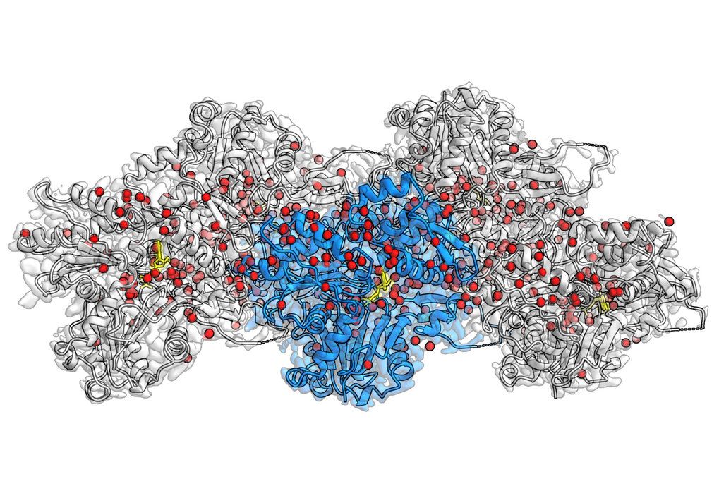 Structural basis of actin filament assembly and aging