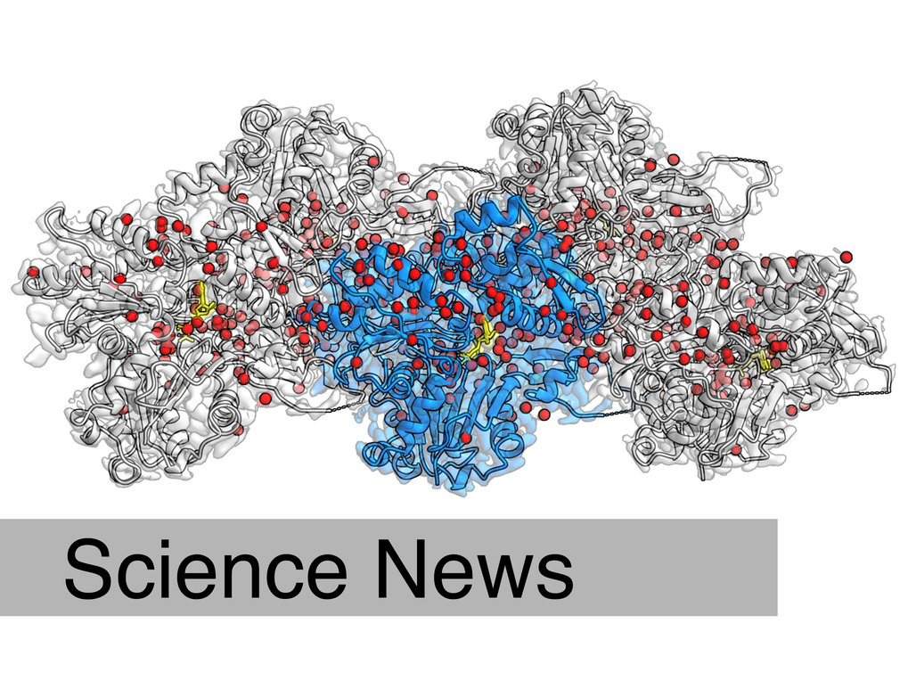 A pocket full of water molecules &ndash; how actin filaments drive the cell&rsquo;s motion