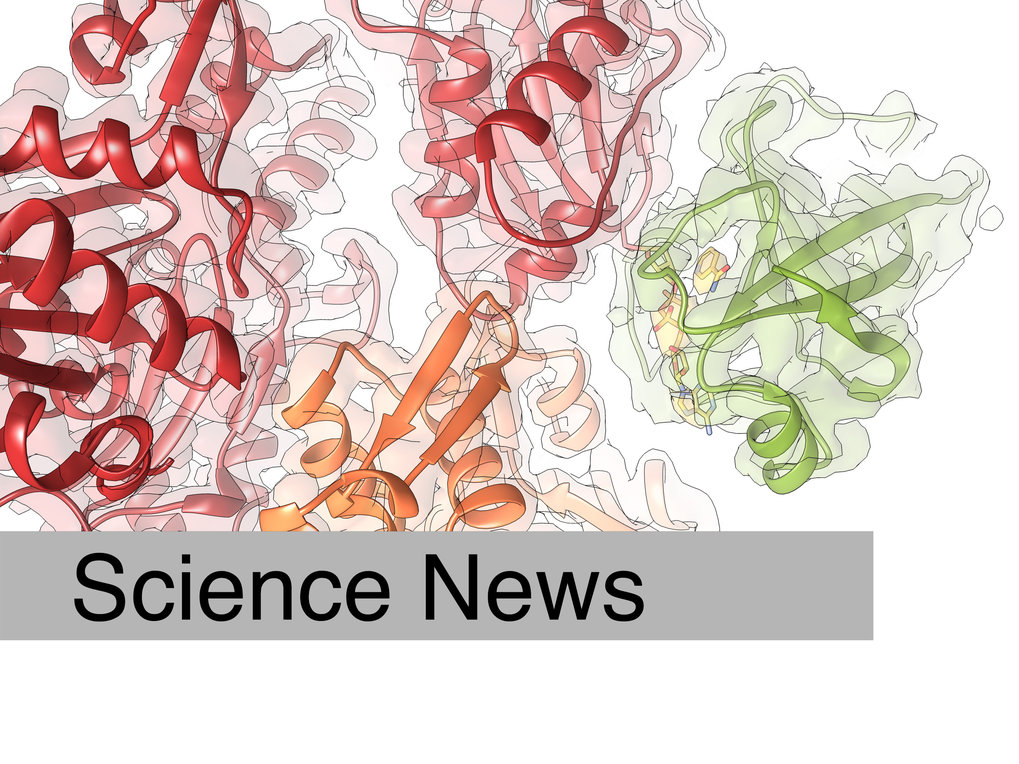 Mechanism of bacterial toxins in deadly attacks