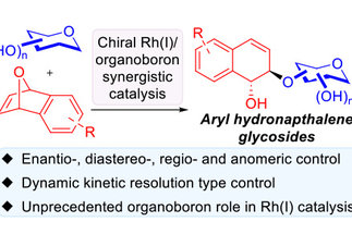 &nbsp;A synergistic Rh(I)/organoboron-catalysed site-selective carbohydrate functionalization that involves multiple stereocontrol