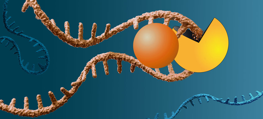 Chemists climb a new path to ascend cancer’s steepest research challenges Chemists climb a new path to ascend cancer’s steepest research challenges