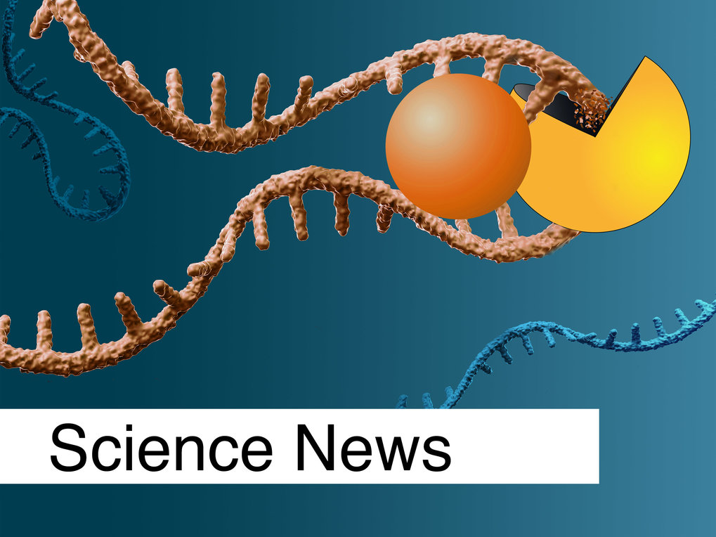 Chemists climb a new path to ascend cancer&rsquo;s steepest research challenges