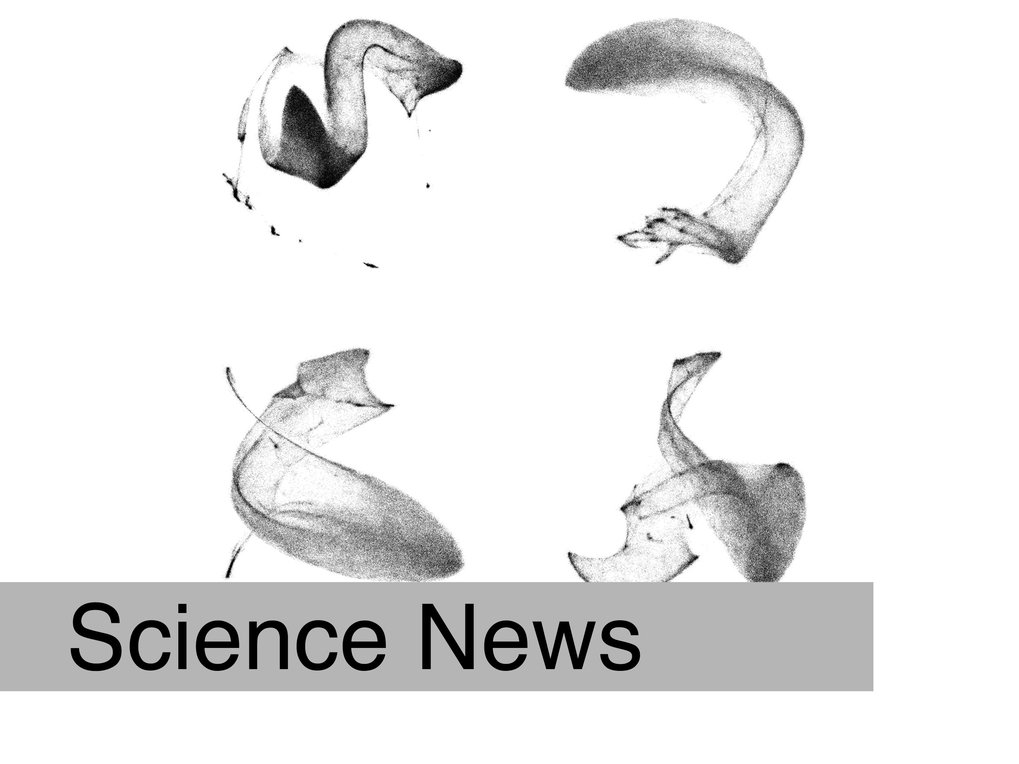 Novel AI-based software enables quick and reliable imaging of proteins in cells