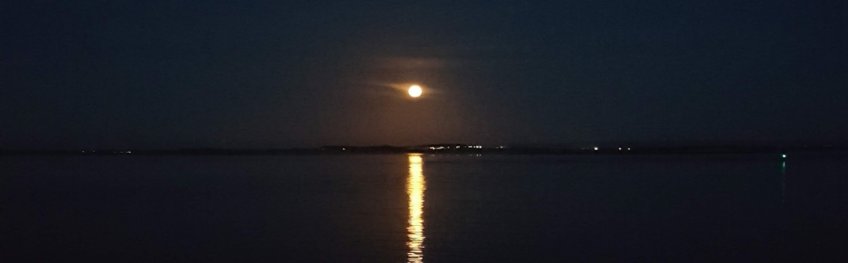 Getting protein factories to run – How deubiquitinating enzymes moonlight as Fubi proteases Moon above the sea