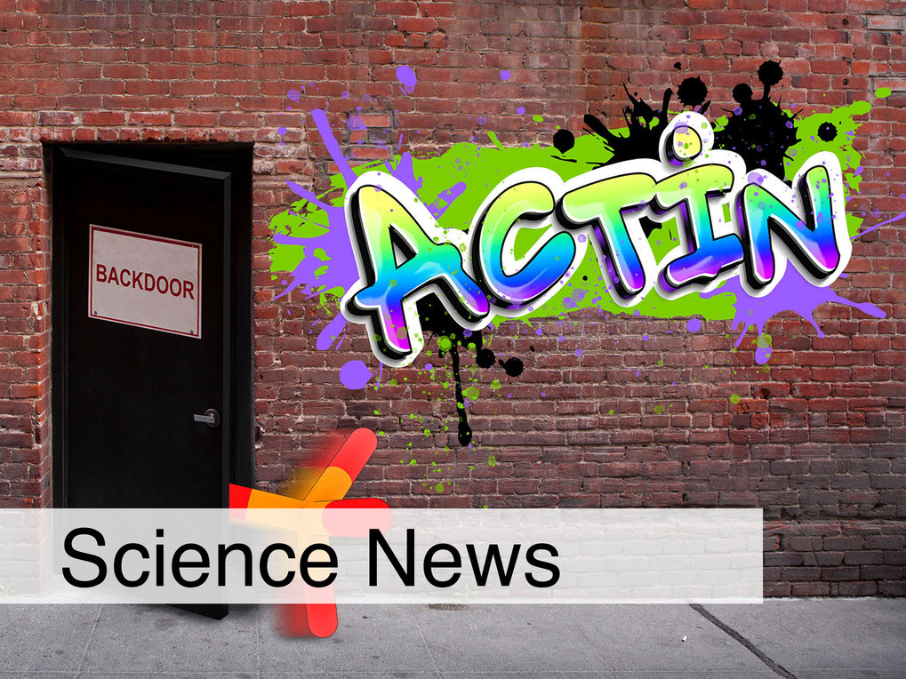 Phosphate escapes through backdoor, "Actin" sprayed on the wall as graffiti