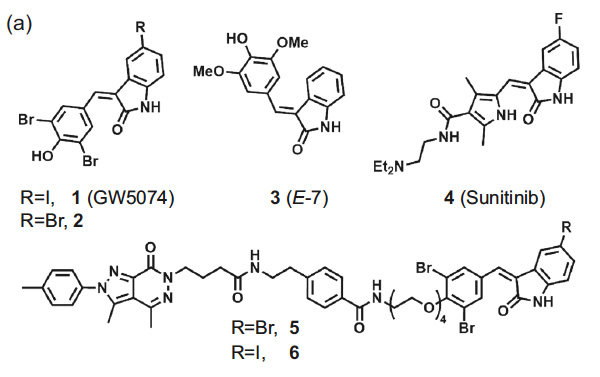 Discovery of a Drug-like, Natural Product-Inspired DCAF11 Ligand Chemotype