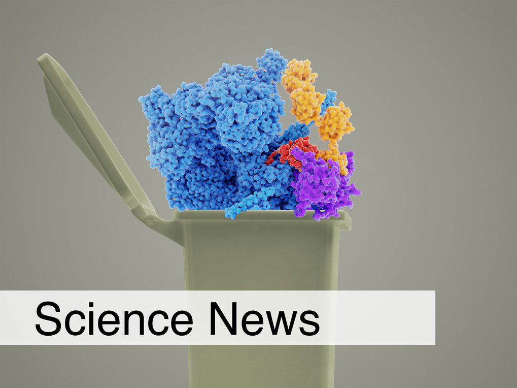 New way to force pathogenic proteins into degradation