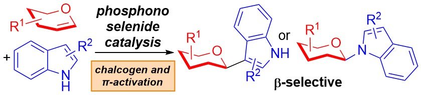 Exploiting &pi; and Chalcogen Interactions for the &beta;-Selective Glycosylation of Indoles through Glycal Conformational Distortion