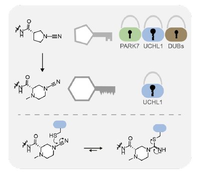 N-Cyanopiperazines as Specific Covalent Inhibitors of the Deubiquitinating Enzyme UCHL1