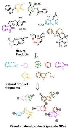 Figure 1: Principle of pseudo-NP design.