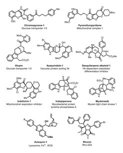 Figure 2: Selected PNPs and their bioactivities.For identification and validation of the cellular targets and the modes of action of the pseudo-NPs a suite of methods was employed, including quantitative proteomics, computational approaches, biochemical, biophysical, genetic, molecular and cell-biological techniques. Examples are shown in Figure 2.