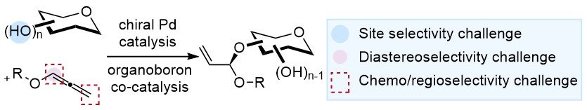 Asymmetric Pd/Organoboron-Catalyzed Site-Selective Carbohydrate Functionalization with Alkoxyallenes Involving Noncovalent Stereocontrol