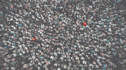 Proteins have to find their partners in the cell among millions of potential interaction partners.