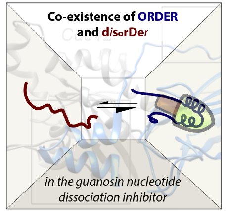 Transient Structural Properties of the Rho GDP-Dissociation Inhibitor