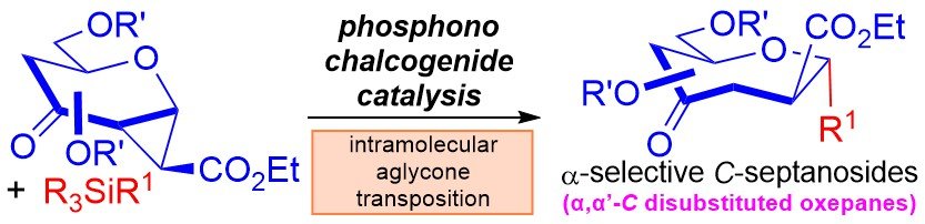 Stereoselective Entry into &alpha;,&alpha;&rsquo;-<em>C</em>-Oxepane Scaffolds through a Chalcogen Bonding Catalyzed Strain-Release&nbsp;<em>C</em>-Septanosylation Strategy