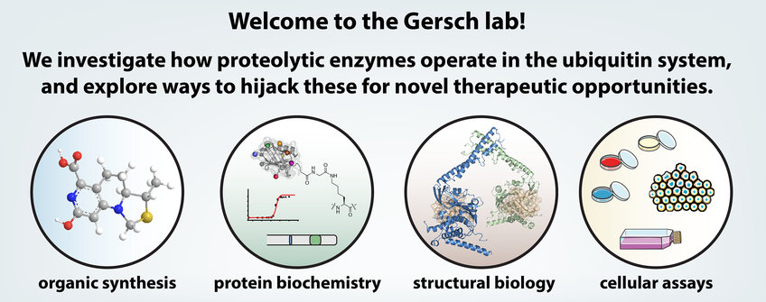 Malte Gersch
gersch lab: we investigate how proteolic enzymes operate in the ubiquitin system, and expolre way to hijack for novel therapeutic oppotunities.