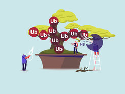 Scheme of a Bonsai with people gardening. On the Baonsai and trimming there are chemical elements