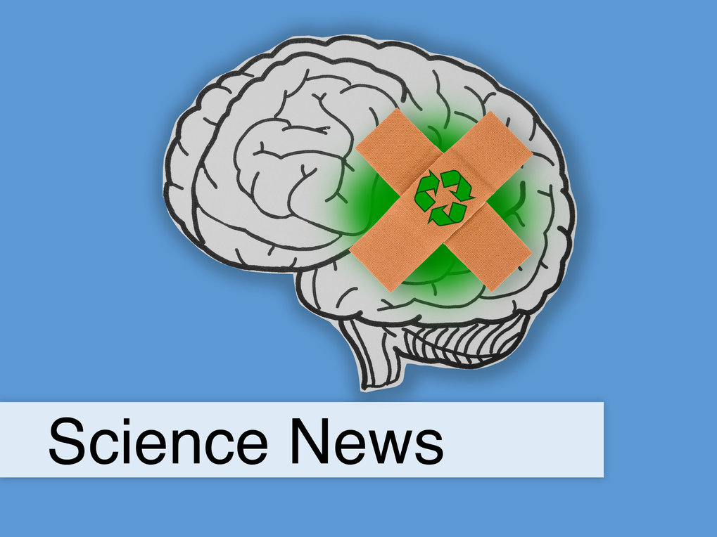 brain with band-aid